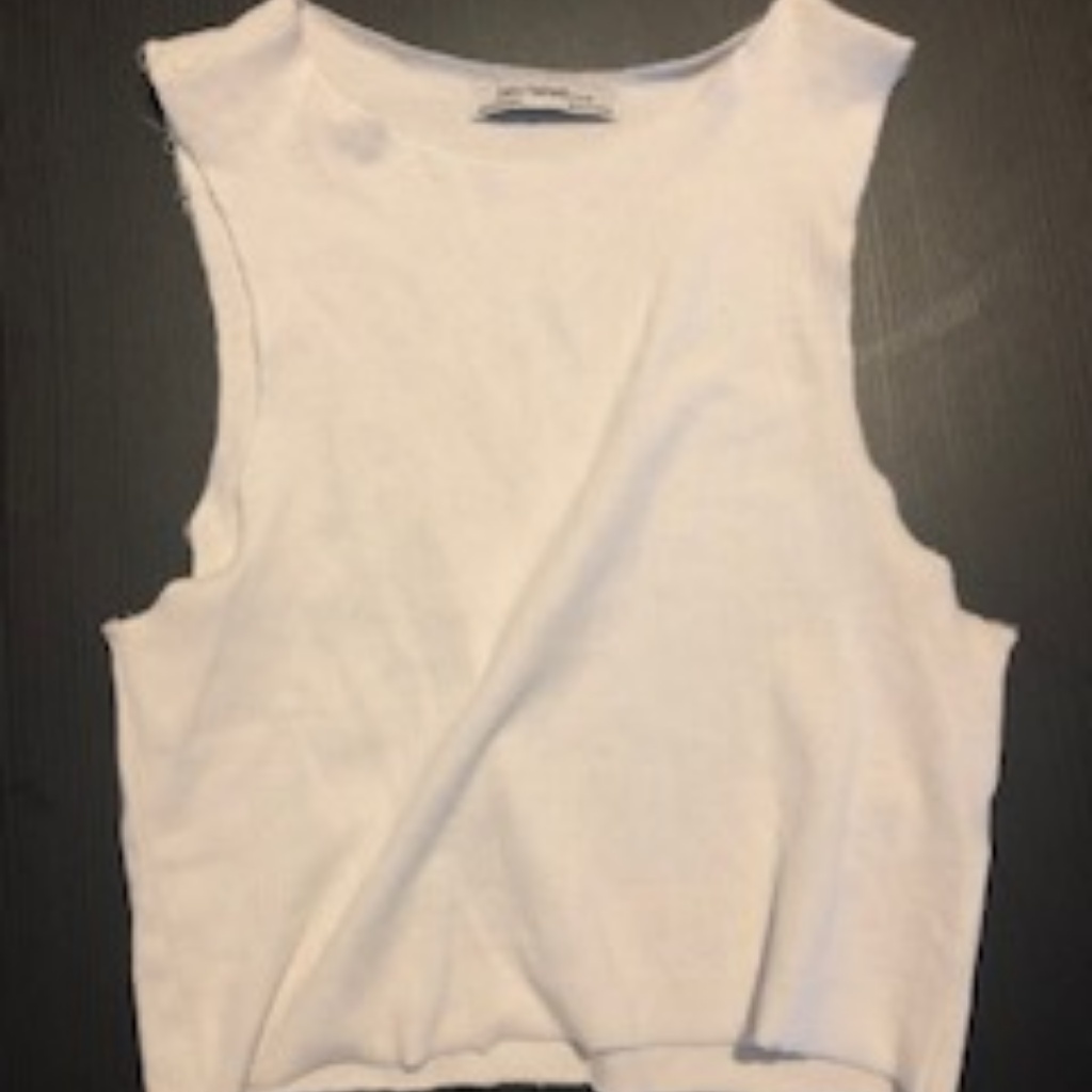 Zara Basic Crop